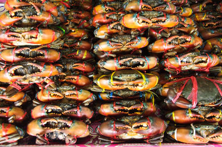 Fresh Crab in market for saleの写真素材