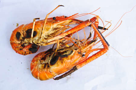 grilled lobsters in Thailand on whiteの写真素材