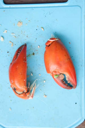Two big claws of a crabの写真素材