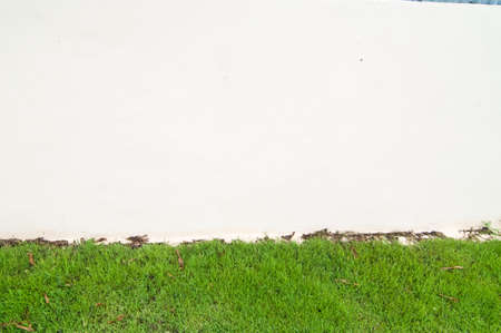 grass and cement wallの写真素材