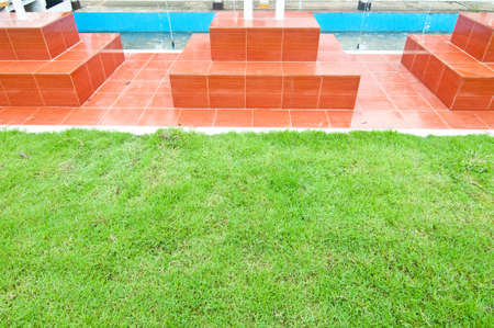 green grass in garden.の写真素材