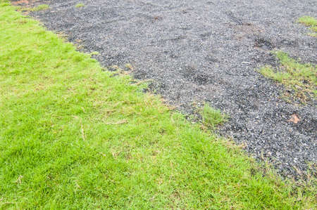 grass and stone groundの写真素材