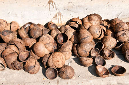 many pile of coconut shellの写真素材