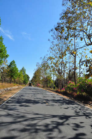Countryside Road With Blue Skyの写真素材