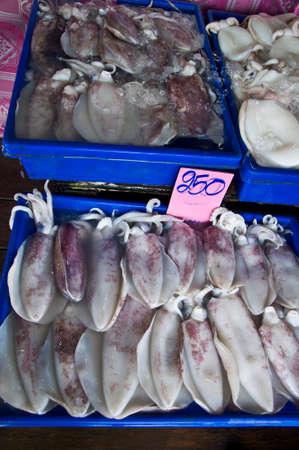 Squids for sale at fresh food market,Thailandの写真素材