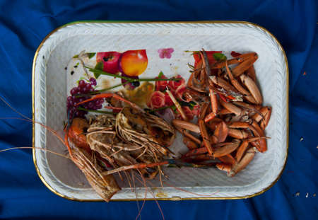 food scraps for composting - seafoodの写真素材