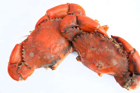Two big boiled crab on whiteの写真素材