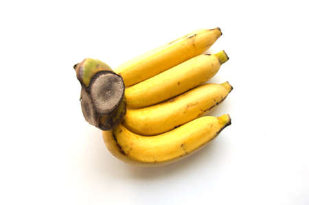 Fresh ripe banana isolated on white の写真素材
