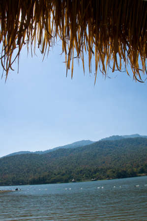 View of roof type made from nipa palm , made in Thailandの写真素材
