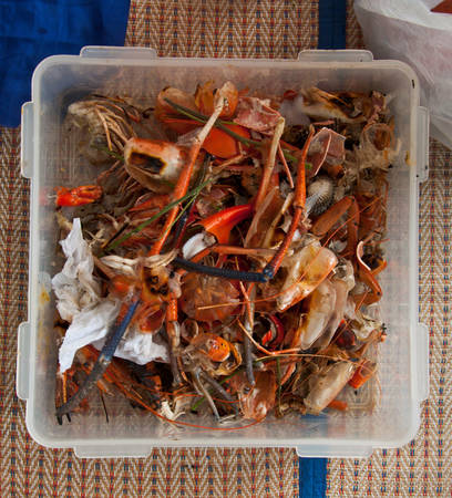 food scraps for composting - seafoodの写真素材