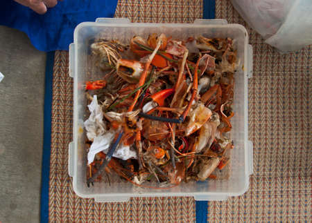food scraps for composting - seafoodの写真素材