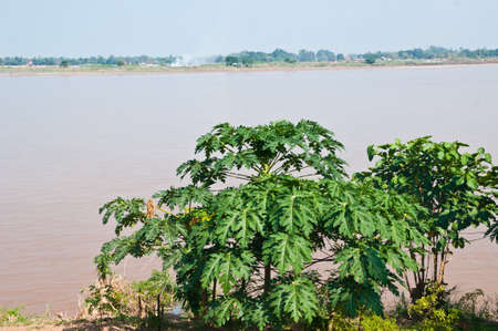 mekong River ,Nakhonphanom of Thailandの写真素材