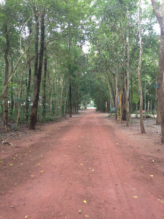Road at countryside の素材