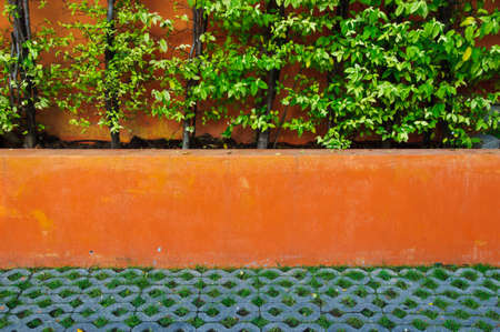 cement orange wall - Tropical Gardenの写真素材
