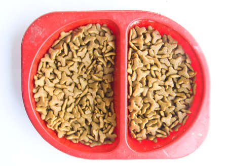 pet food in the red dog dishの写真素材