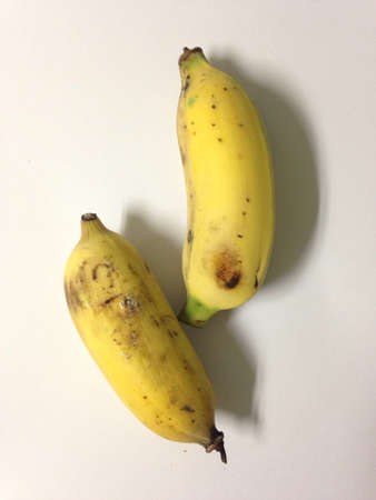 Bananasの素材