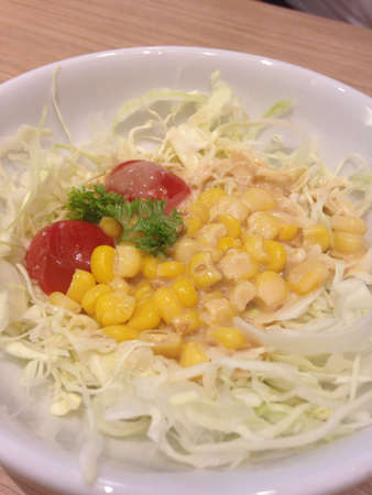 Saladの素材