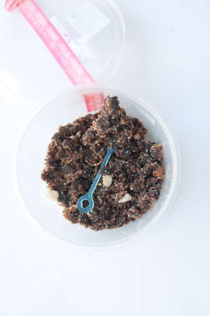 tamarind mixed with granulated sugarの写真素材