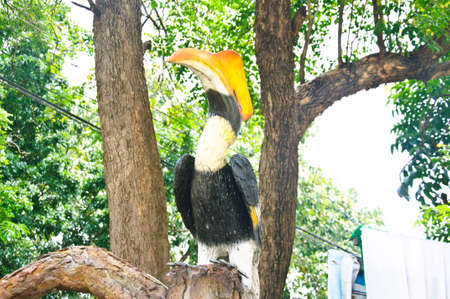 statue of great pied hornbill decoration in zooの写真素材