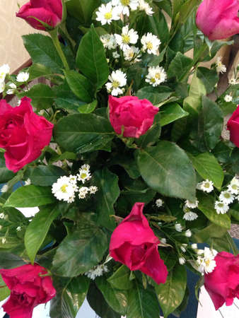 Roseの素材