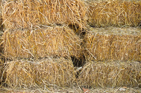 piles of straw on a farm in the wildの写真素材