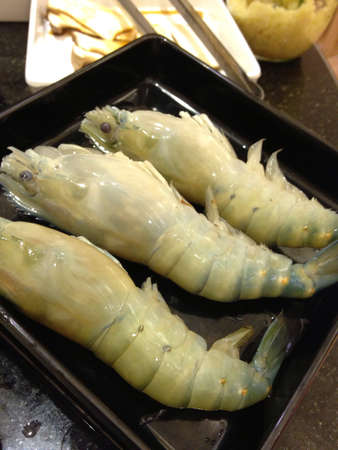 Group of raw shrimpsの素材