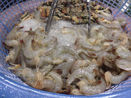 Group of raw shrimps seafoodの素材