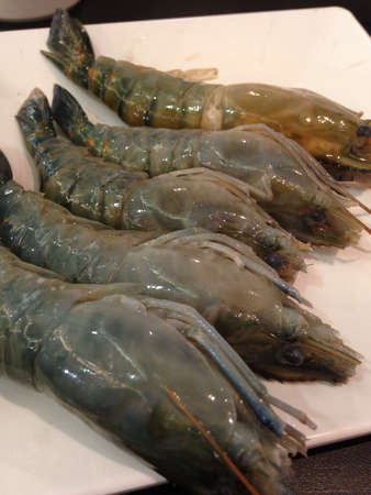 Grilled shrimps seafoodの素材