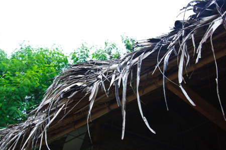 A thatched Roof in Thai styleの写真素材