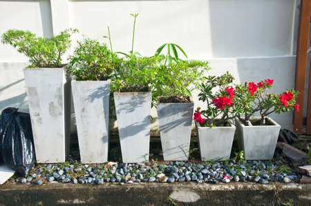 Decorated flower pot at houseの写真素材