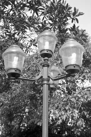 Transparent lamps  on the gardenの写真素材