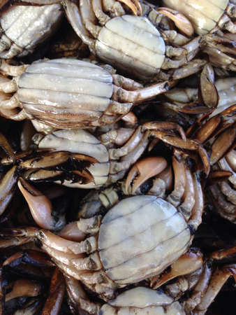 Salted crabs in mangrove forest at Thai marketの素材