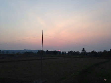 Sunset and Green rice field , Thailandの素材