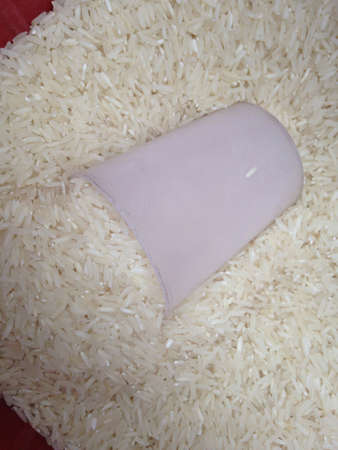 Riceの素材