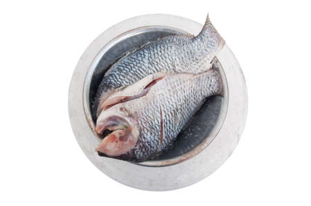 Raw Tilapia on white background
