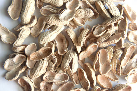 pile of shell peanutsの写真素材