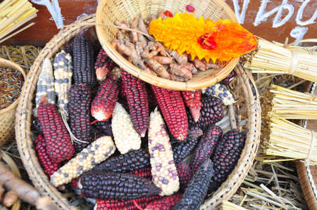 A Close up or Cheerful and Colorful dried Indian Corn in a basketの写真素材