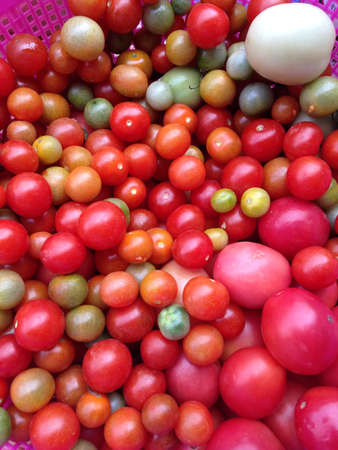 Tomato の素材