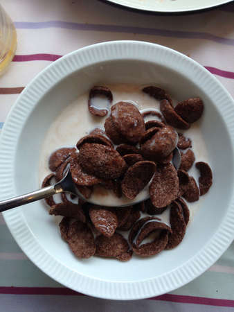 Cornflake chocolate  with milkの素材