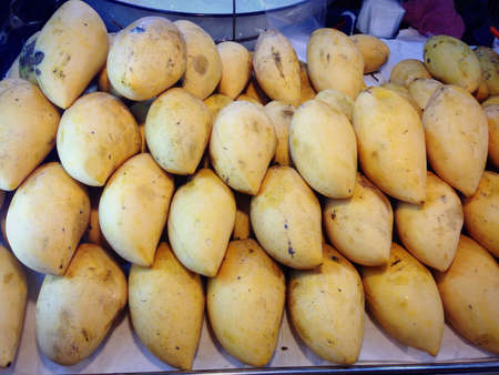 Ripe mangoesの素材