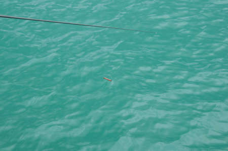 fishhook on green sea surface