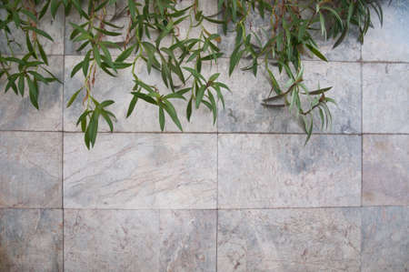 Gray stone tiles and tree background
