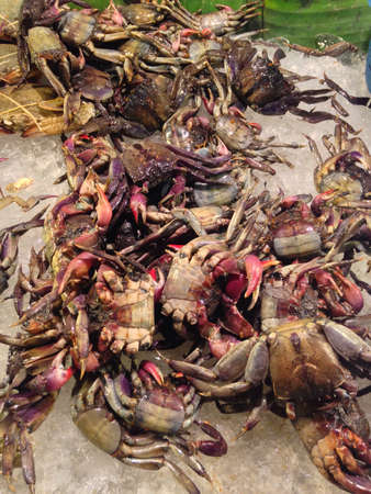 Pickle crab shellfish Thai foodの素材