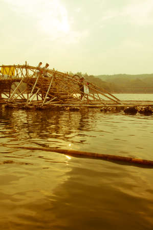 Bamboo bridge, which began to decayの写真素材