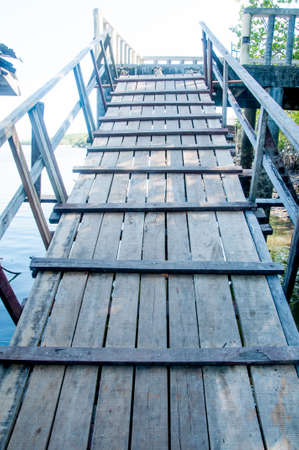 Natural mangrove walkway. Thailand travelの写真素材
