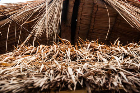 Thatched roof at the hut in the countryside