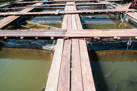 Fish farm located in thailand countryの写真素材