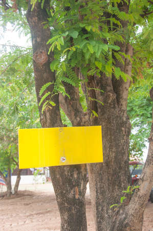 empty yellowlabel information on treeの写真素材