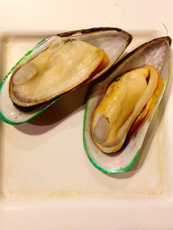 Fresh green mussel