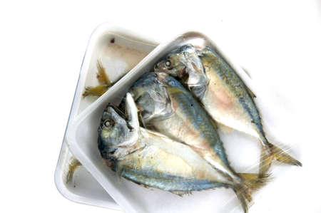 Mackerels steamed in a pack on white backgroundの写真素材